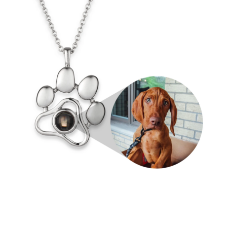 Custom Photo Pet Memorial Necklace & Keychain, Cat Paw Pendant With Picture Inside